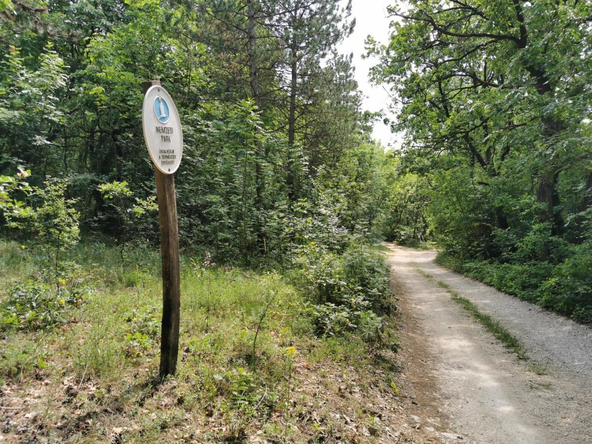 Cseri Kastelyszallo Tótvázsony Buitenkant foto